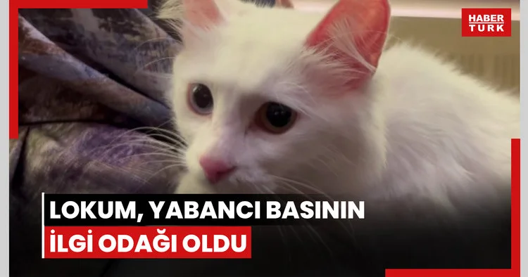 Lokum, yabancı basının ilgi odağı oldu