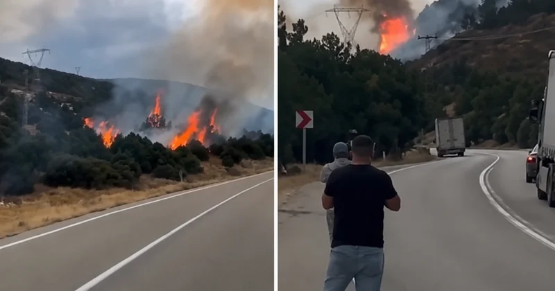 Isparta da Orman Yangını