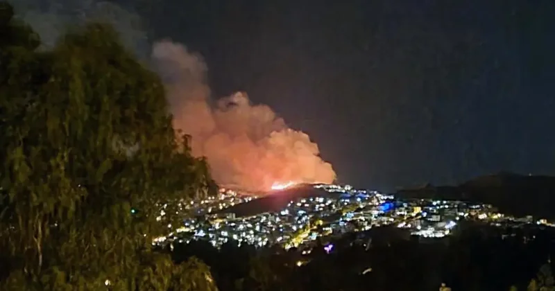 Bodrum’da makilik alanda yangın: Ekipler harekete geçti
