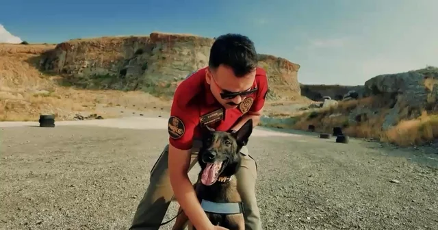 Jardi, 3 üncü kez Türkiye nin en başarılı görev köpeği seçildi Osmaniye Haberleri Habertürk Yerel Haberler