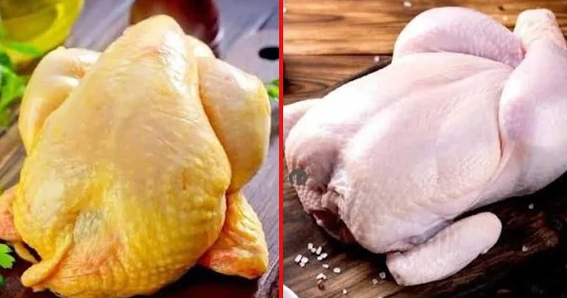 Sarı derili tavuk mu yoksa beyaz derili tavuk mu daha sağlıklı? Kasaplar son noktayı koydu Sözcü Gazetesi