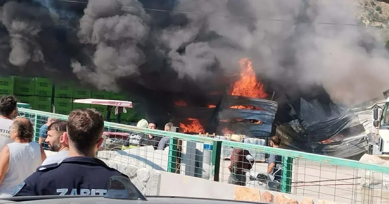 Bodrum da korkutan yangın! Bir kişi yaralandı