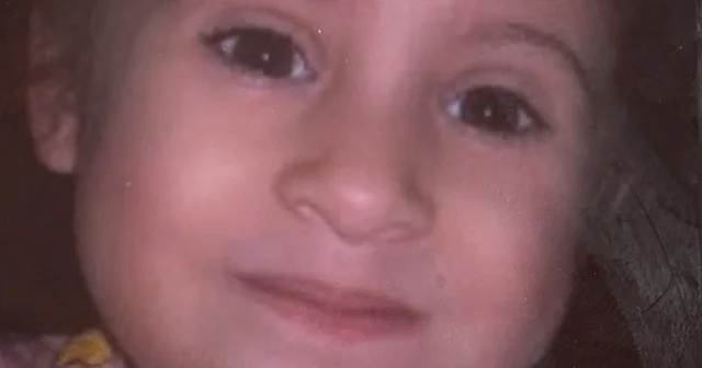 Annesiyle birlikte silahlı saldırıda ölen 4 yaşındaki Öykü Naz toprağa verildi Annesinin ardından yaşam savaşını kaybeden 4 yaşındaki Öykü Naz son yolculuğuna uğurlandı Kırklareli Haberleri Habertürk Yerel Haberler