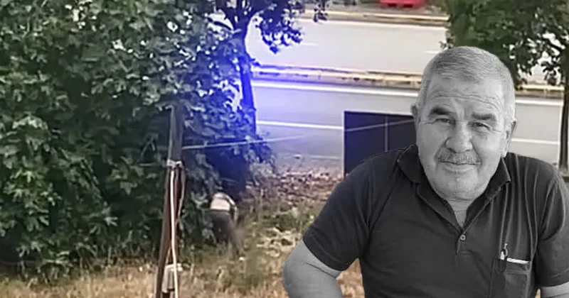 Kocaeli’de yeğen vahşeti: Dayısını palayla öldürdü!