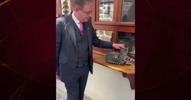 Belçika Başbakanı De Wever den gülümseten kedi paylaşımı: Dostça bir Türk kedisi