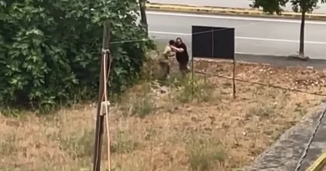 Dayısını palayla öldürdü; ayağından vurularak yakalandı Kocaeli Haberleri Habertürk Yerel Haberler
