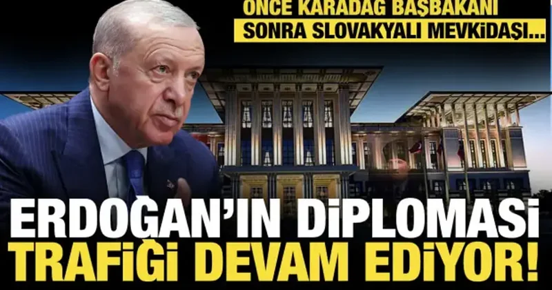 Son dakika...Başkan Erdoğan’ın diplomasi trafiği devam ediyor!