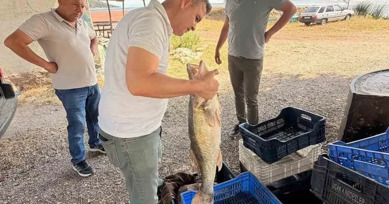 Beyşehir Gölü’nde avlanan balıklar tek tek kontrol edildi