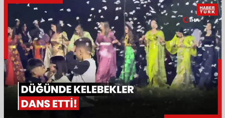 Düğünde kelebekler dans etti!