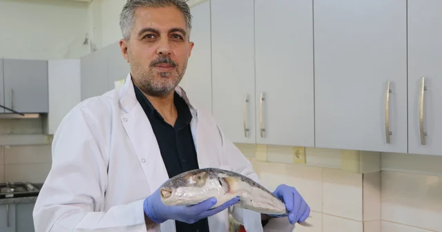 Uzmanından zehirli deniz canlıları için uyarı: Kayalık bölgelerde denize girerken dikkatli olunmalı Adana Haberleri Habertürk Yerel Haberler
