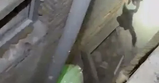 Havalandırma boşluğuna düşen kedi, kurtarma ekibini görünce kaçtı Burdur Haberleri Habertürk Yerel Haberler