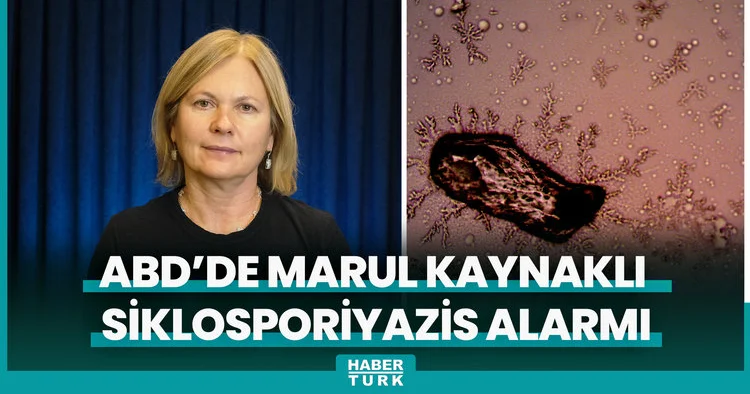 ABD’de marul kaynaklı siklosporiyazis alarmı: Şiddetli ishal vakaları artıyor
