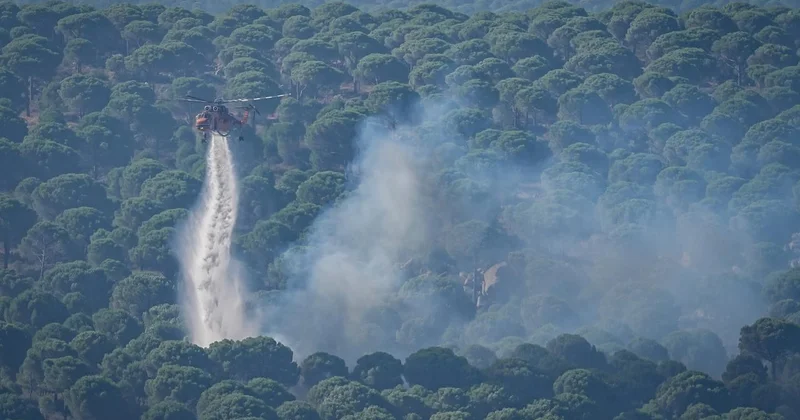 1 Haziran dan bugüne kadar çıkan yangınlarda 9 tutuklama