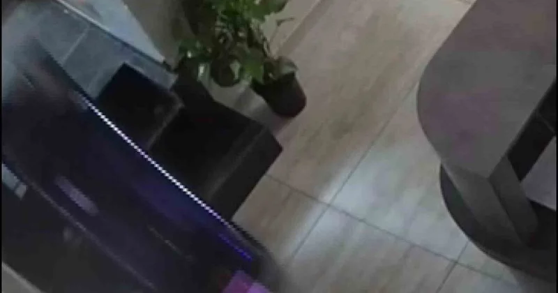 Robot Garson Merdivenden Düştü