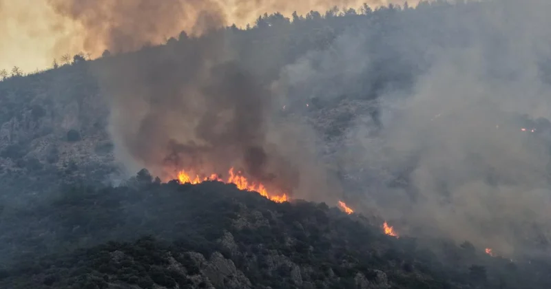 Manisa da çıkan orman yangınına müdahale ediliyor