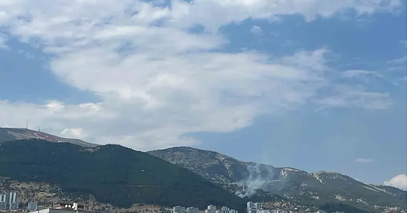 Kahramanmaraş’ta çıkan orman yangını kontrol altına alındı