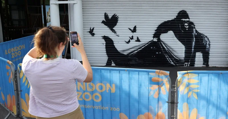 Banksy eser ürettikçe İngilizlerin cebi boşalıyor Sözcü Gazetesi