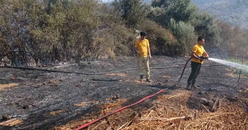 Milas Bafa’da tarım arazisindeki yangın söndürüldü