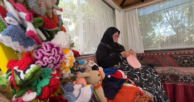 60 yıllık örgü tutkusuyla hem ağaçları süslüyor hem sokak hayvanlarına destek oluyor Ağaçları örgülerle giydiriyor, el emeğiyle sokak hayvanlarını besliyor Karabük Haberleri Habertürk Yerel Haberler