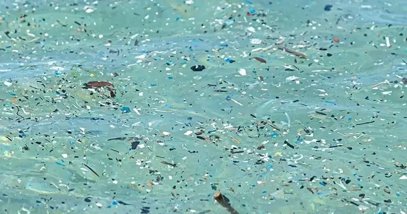 Plastik üretimi 24 yılda yüzde 84 arttı: 2060 a kadar üç katına çıkabilir