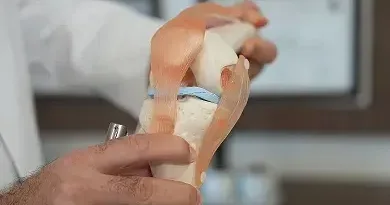 Menisküs kaybına hastanın kendi dokusundan çözüm