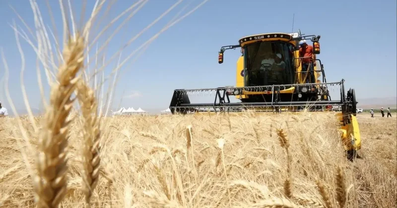 Çiftçiye dev ödeme! 6,3 milyar lira hesaplara yatırıldı!