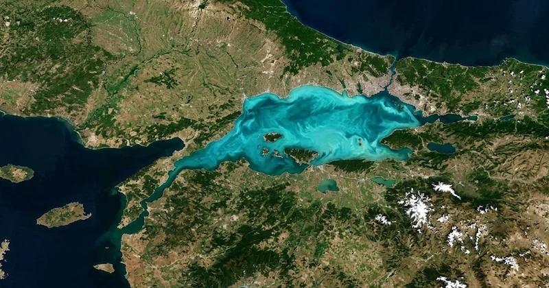 Evimizin önündeki deniz dünyanın en küçüğü Sözcü Gazetesi