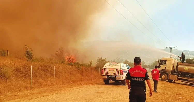 Akdeniz’in ciğerleri yandı