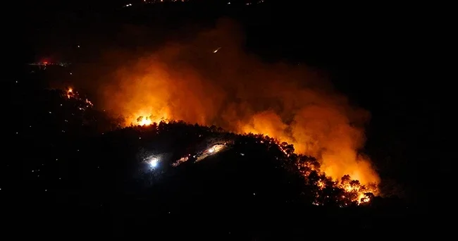 Adana daki orman yangını yayılıyor! Alevler mahallelere sıçradı, evler tahliye ediliyor