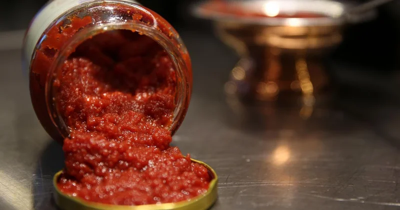 Domates salçası beyin fonksiyonlarınızı nasıl etkileyebilir?