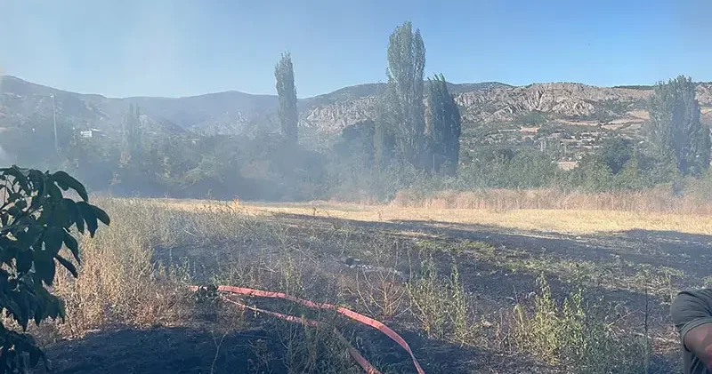 Yangında 7 dönüm tarım arazisi zarar gördü