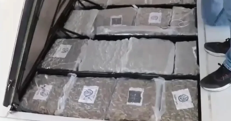 Gümrük Muhafaza ekiplerinden uyuşturucu kaçakçılığına darbe: 387 kilo skunk ele geçirildi