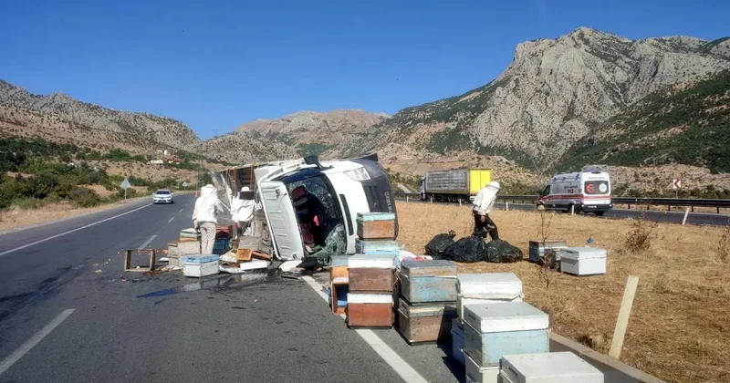 Arı kovanı yüklü kamyonet devrildi!