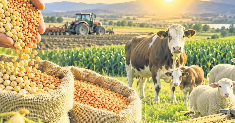 Tarım desteğinde yeni dönem başladı