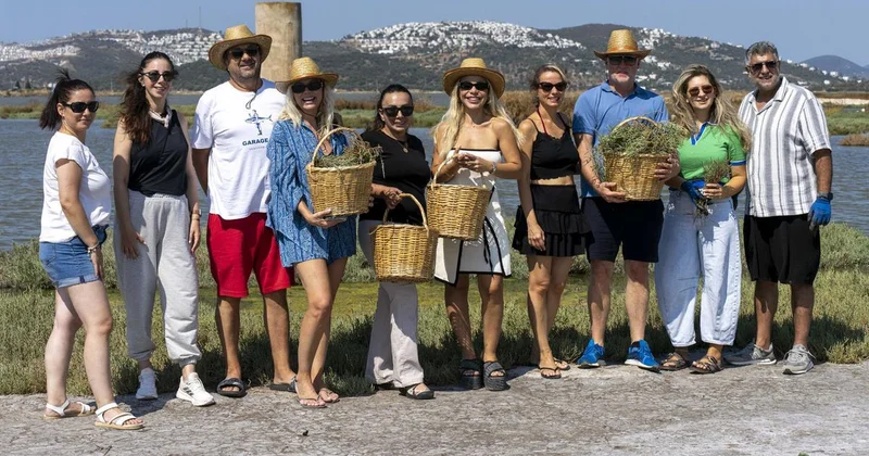 Bodrum’da deniz börülcesi hasadı sofraya taşındı