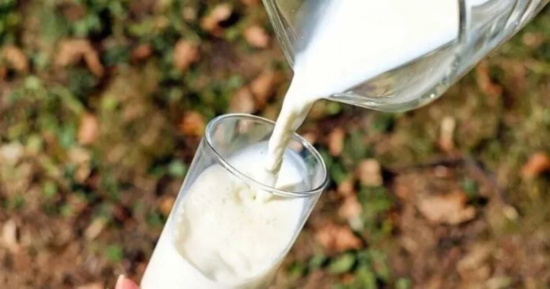 TÜSEDAD: Çiğ süt üretim maliyeti şubatta 28,50 TL ye çıktı
