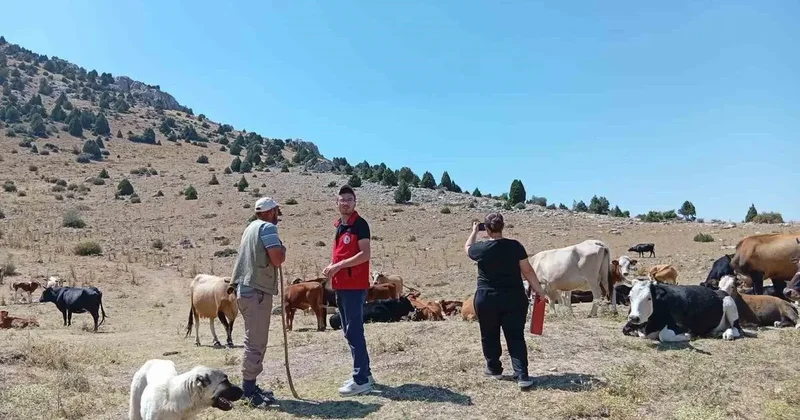 Yerli hayvan ırklarının korunması çalışmaları sürüyor