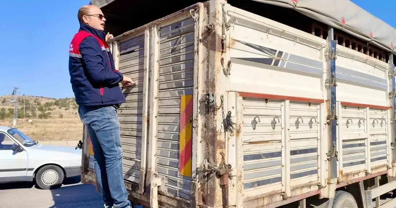 Canlı hayvan nakline yönelik denetimler sürüyor