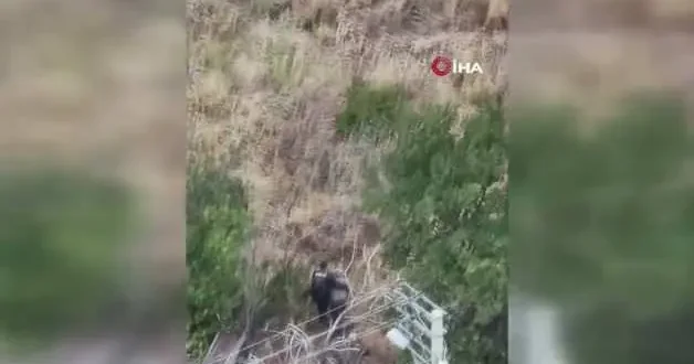 Alzaymır hastası teyzeyi sırtında taşıdı! Bakan Çiftçi den kahraman polise tebrik