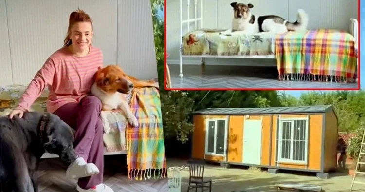 Ceylan Ertem den köpeklerine ev aldı! İçini tek tek kendi hazırladı...