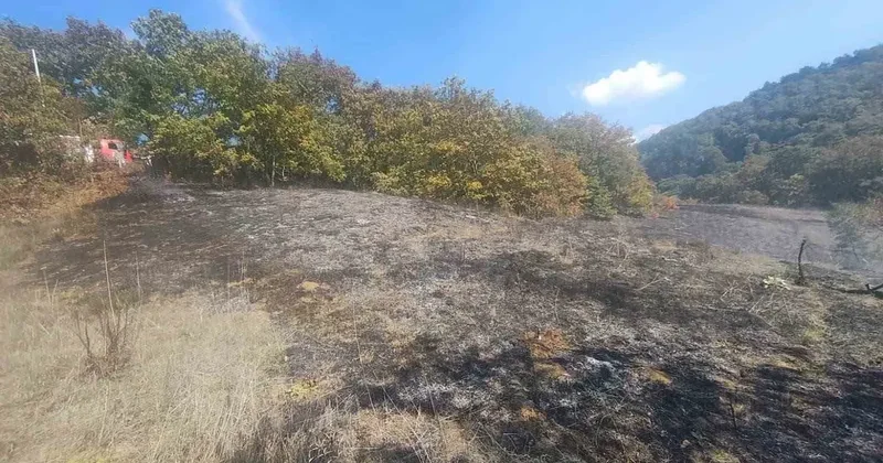 Bolu’da ot yangını büyümeden söndürüldü
