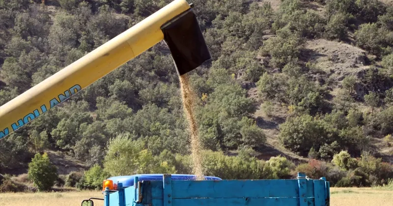 Bu pirinç çok başka! Şeker hastaları rahatlıkla tüketebiliyor!