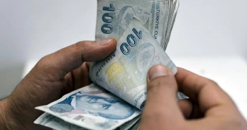 Türkiye’nin 81 ilinde kazandıran meslekler belli oldu Sözcü Gazetesi