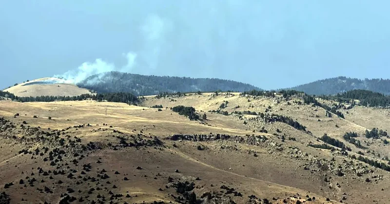 Kars ta örtü yangını! Yaklaşık 1,5 hektar alan zarar gördü