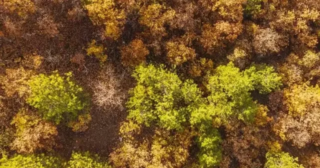 Kırıkkale’de sonbahar güzelliği VİDEO İZLE