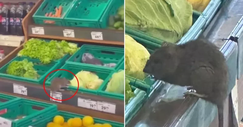 3 harfli market zincirinde skandal görüntü