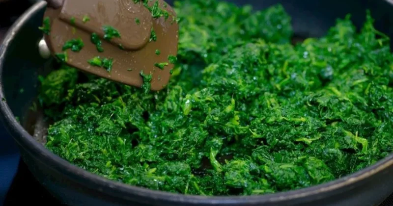 Ispanak sanıp yediler, tek tek fenalaştılar: 11 kişi hastanelik oldu Sözcü Gazetesi