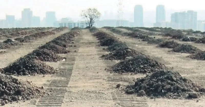 Yeşil vatan seferberliği