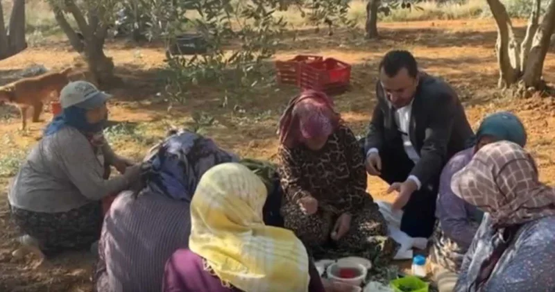 Zeytin üreticileri de isyan etti: Para kazanmamızın mümkünatı yok