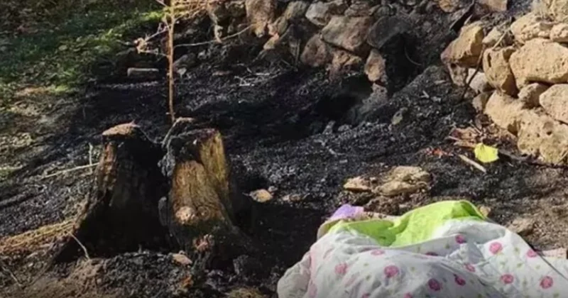 Bahçesindeki otları yakarken alevlerin arasında kalıp öldü Sözcü Gazetesi